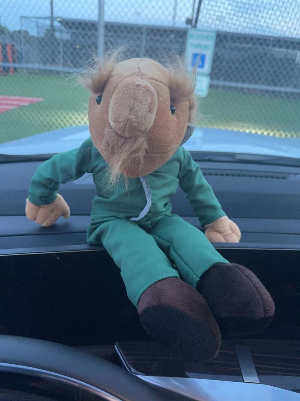 ALF 1986 Vintage Plush Doll in Green Jumpsuit
